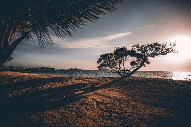 Finding the perfect backdrop